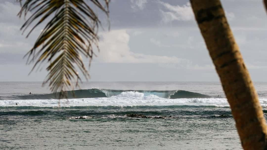 La rompiente de Cloud 9 vista desde la costa, entre palmeras, con un tubo que se forma sobre el arrecife y surfistas esperando en el agua
