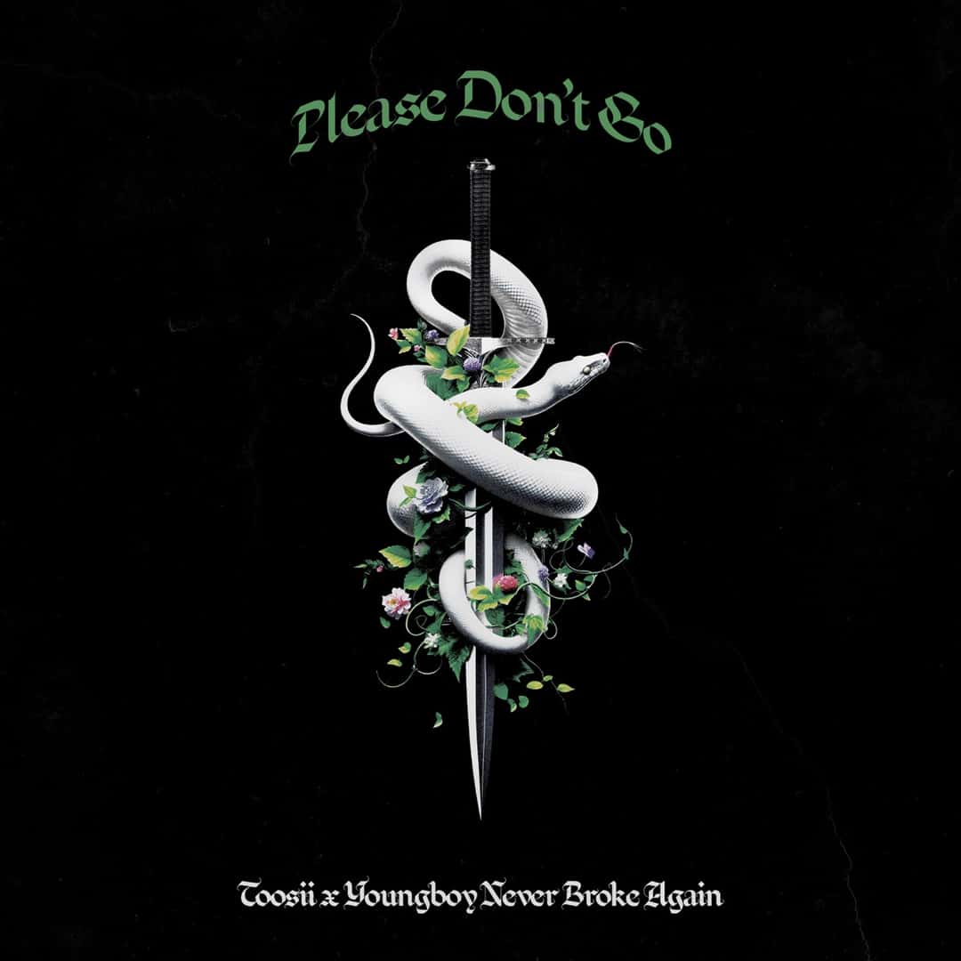 Portada del single «Please Don't Go», de Toosii y YoungBoy Never Broke Again: una espada clavada con una serpiente blanca y flores enroscadas, sobre fondo negro, con el título en letras góticas verdes